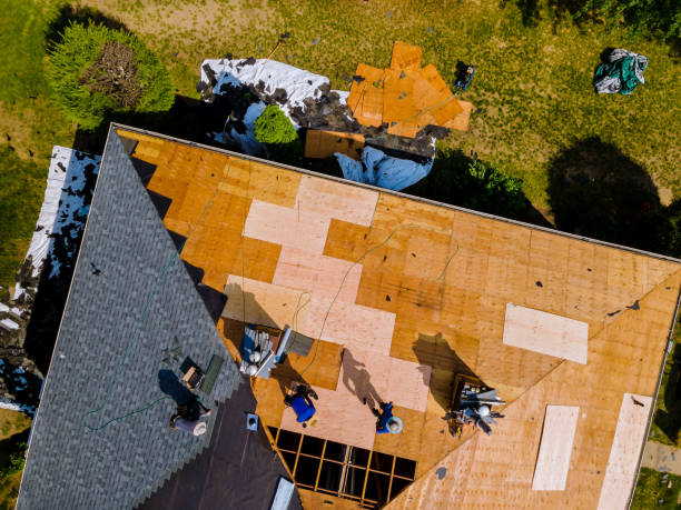 Best Roof Maintenance Services  in Mills, WY